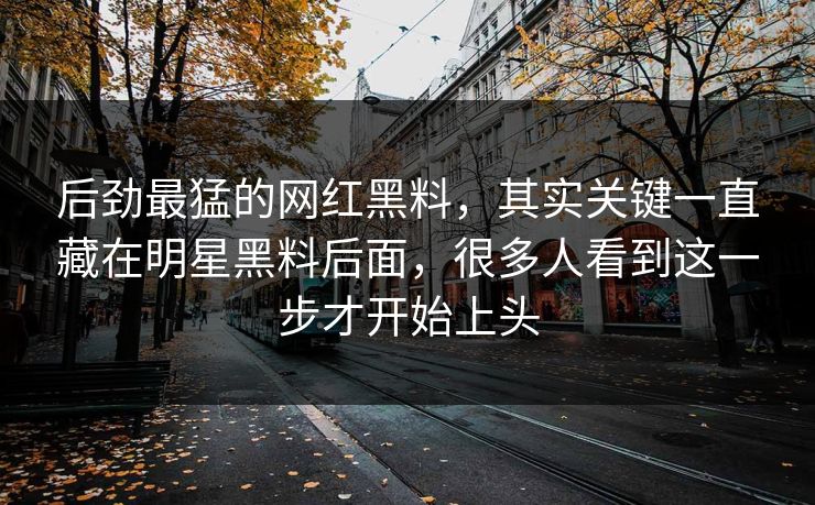 后劲最猛的网红黑料，其实关键一直藏在明星黑料后面，很多人看到这一步才开始上头