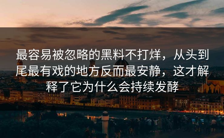 最容易被忽略的黑料不打烊，从头到尾最有戏的地方反而最安静，这才解释了它为什么会持续发酵