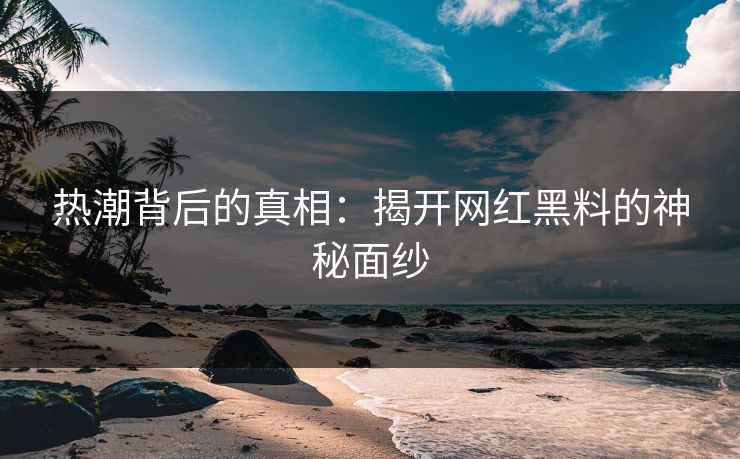 热潮背后的真相:揭开网红黑料的神秘面纱 热潮背后的真相:揭开网红黑料的神秘面纱